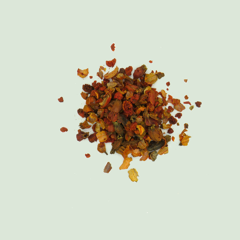 Gardeniae Fructus (Zhi Zi / Gelbbeere)