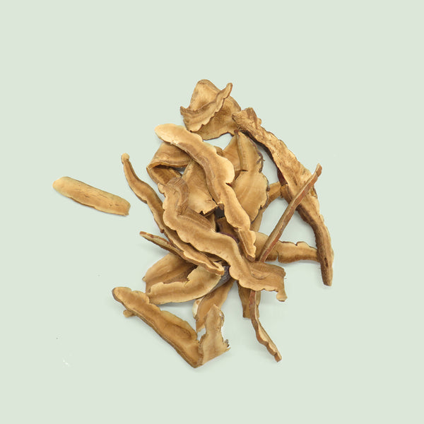 Ganoderma (Ling Zhi / Ganoderma (Reishi))