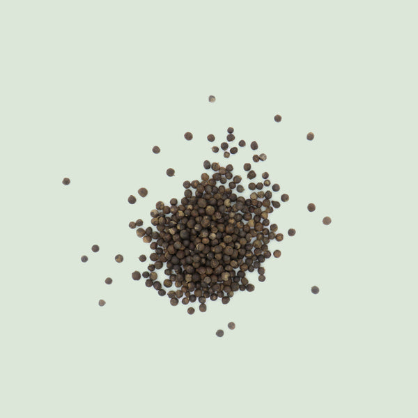 Viticis Fructus (Man Jing Zi/Mönchspfeffer, chin.)