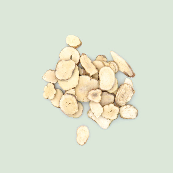 Trichosanthis Radix (Tian Hua Fen/Schlangenkürbiswurzel)