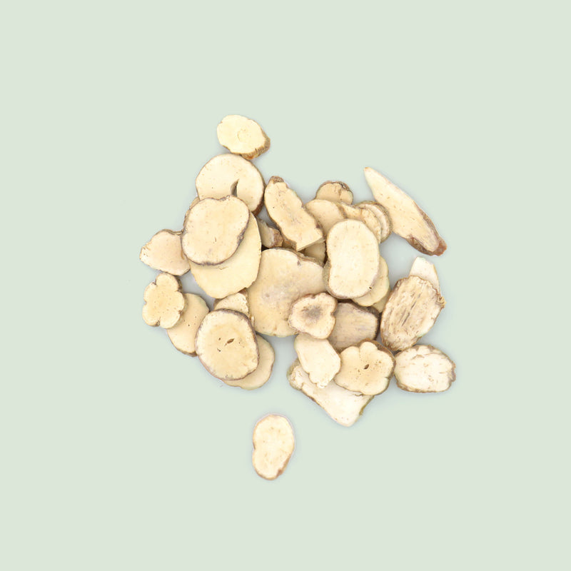 Trichosanthis Radix (Tian Hua Fen/Schlangenkürbiswurzel)