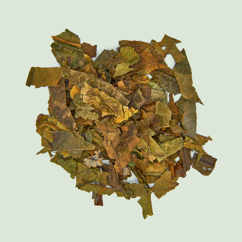 Eriobotryae Folium (Pi Pa Ye/Wollmispelblätter)