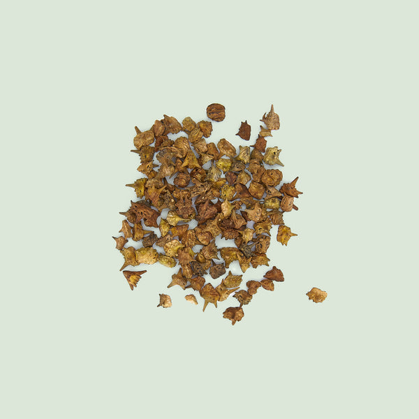 Tribuli Fructus (Bai Ji Li/Burzeldornfrüchte)