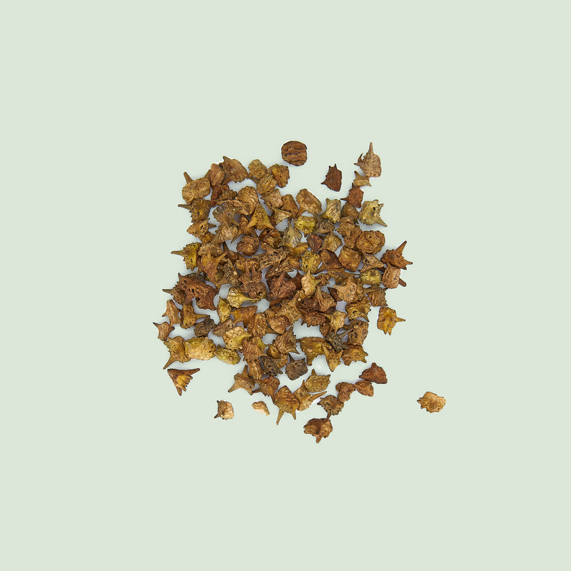 Tribuli Fructus (Bai Ji Li/Burzeldornfrüchte)