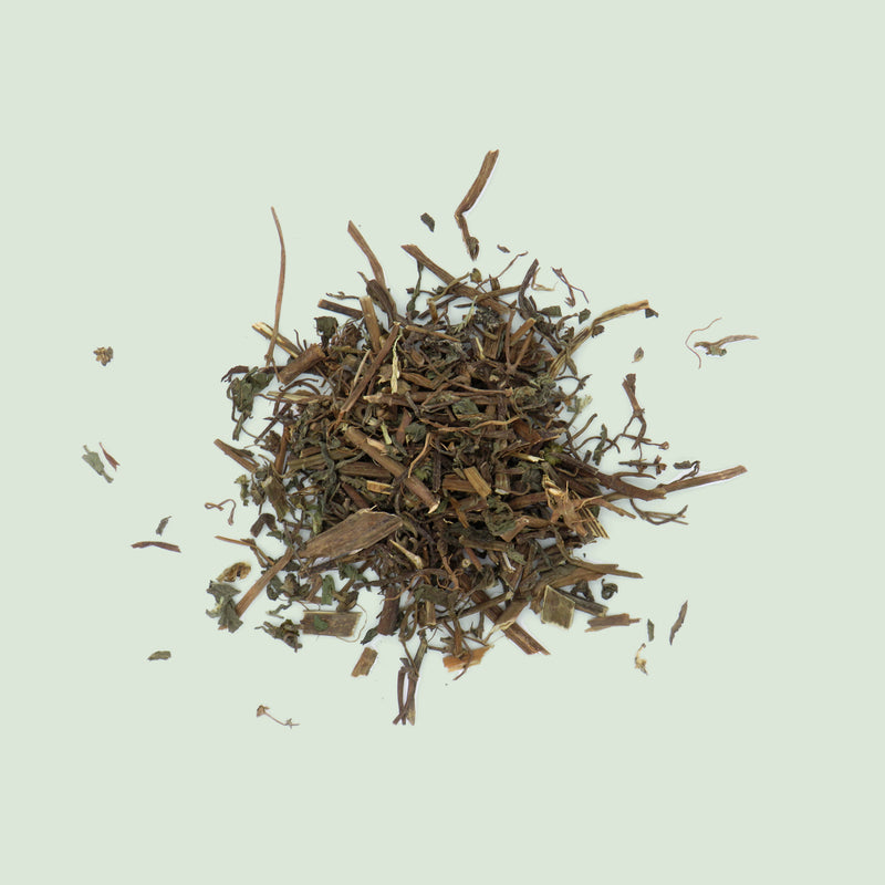 Ecliptae Herba (Han Lian Cao / Ekliptakraut)