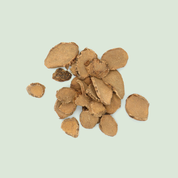 Sparganii Rhizoma (San Leng/Sparganiumwurzelstock)