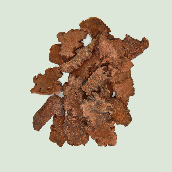 Cynomorii Herba (Suo Yang/Feuerspornkraut)