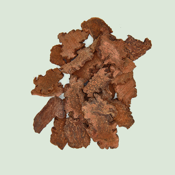 Cynomorii Herba (Suo Yang/Feuerspornkraut)