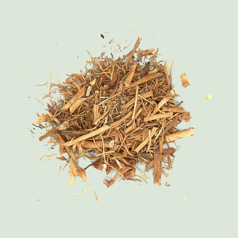 Cynanchi stautonii Rhizoma (Bai Qian/Cynanchumwurzel)