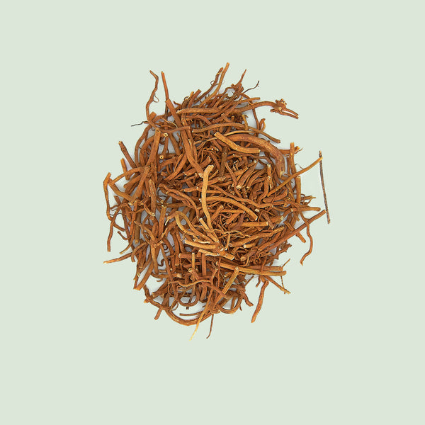 Cynanchi paniculati Radix (Xu Chang Qing/)