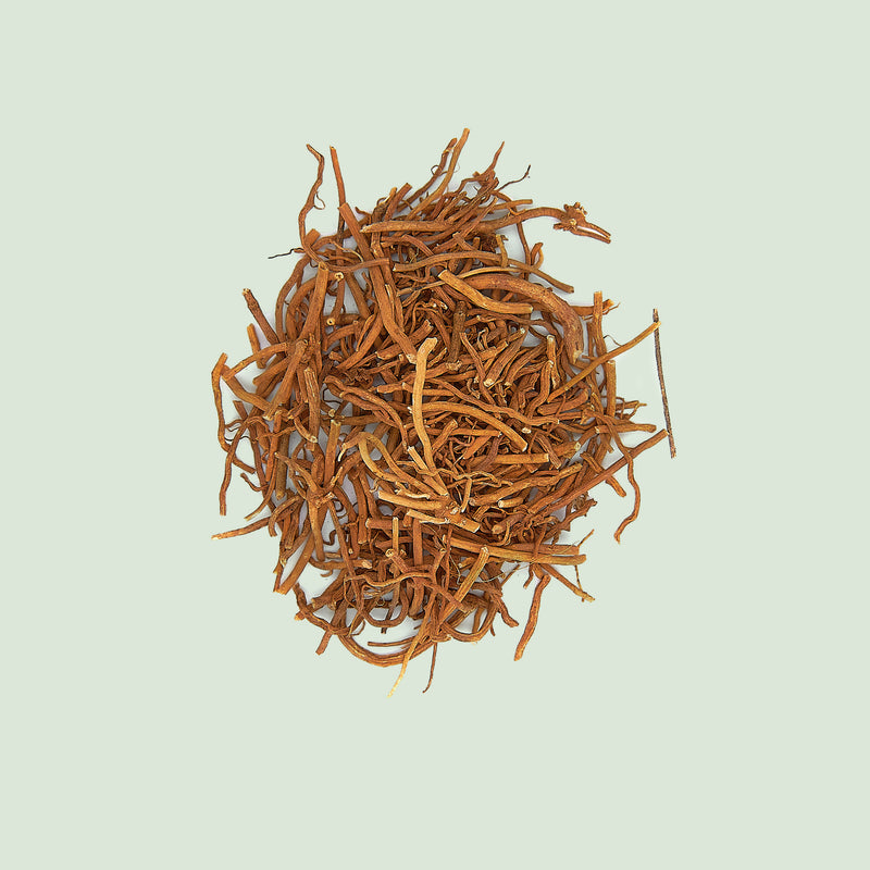 Cynanchi paniculati Radix (Xu Chang Qing/)