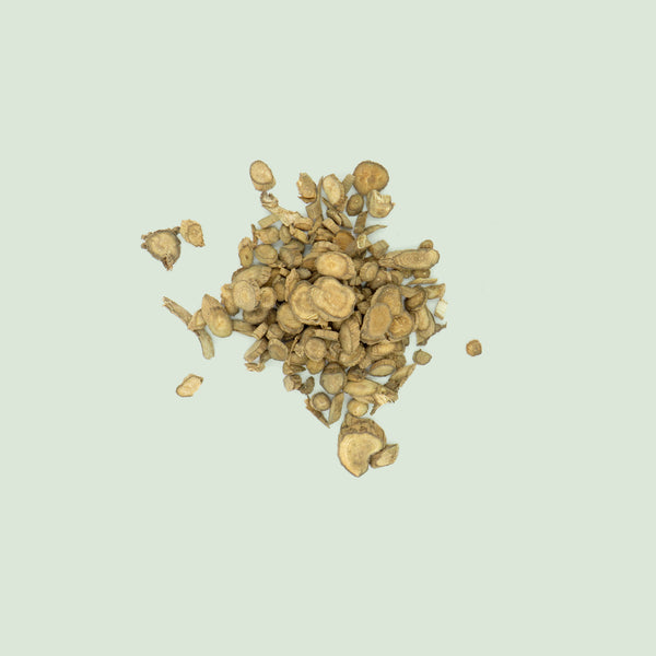 Cyathulae Radix (Chuan Niu Xi / Ochsenknie - Wurzel)