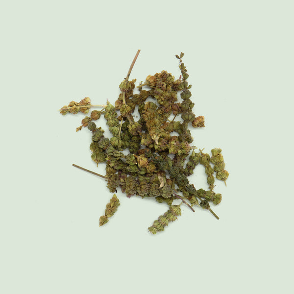 Schizonepetae Herba (Jing Jie / Katzminzekraut)
