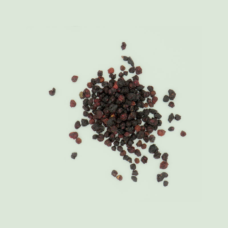 Schisandrae Fructus (Wu Wei Zi / chin. Beerentraubenfrüchte)