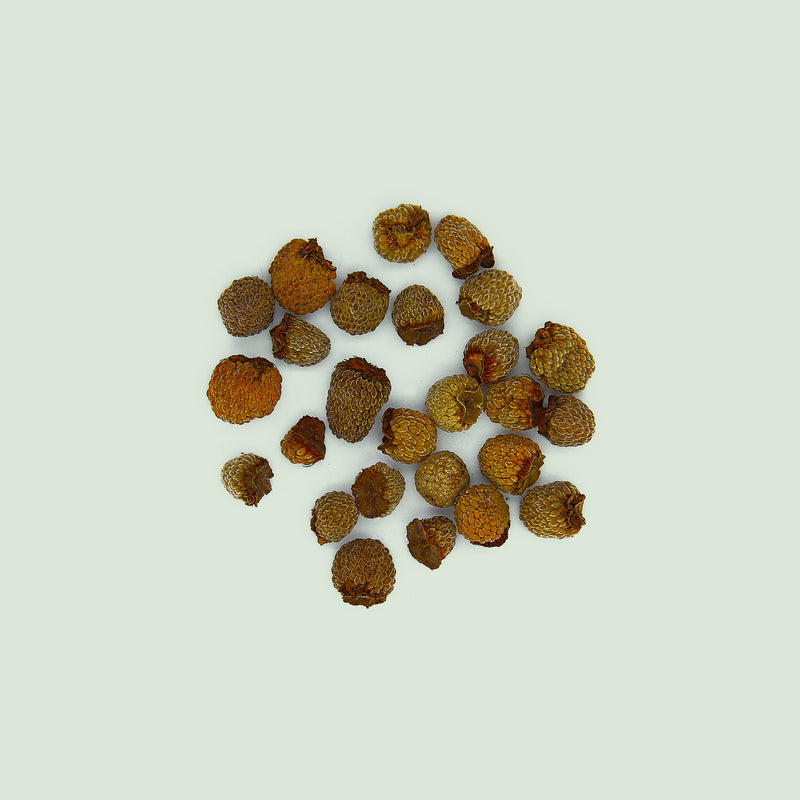 Rubi Fructus (Fu Pen Zi/Wildhimbeerfrüchte)