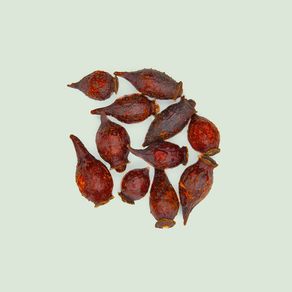 Rosae laevigatae Fructus (Jin Ying Zi/Hagebutten, chin.)