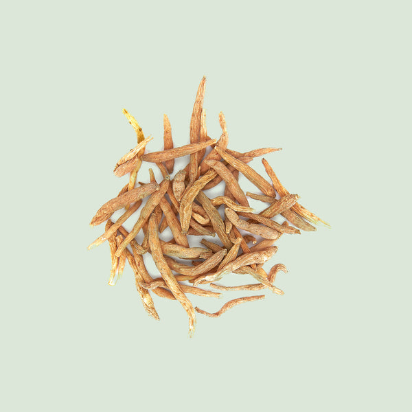Pseudostellariae Radix (Tai Zi Shen/Sternmierenwurzel)