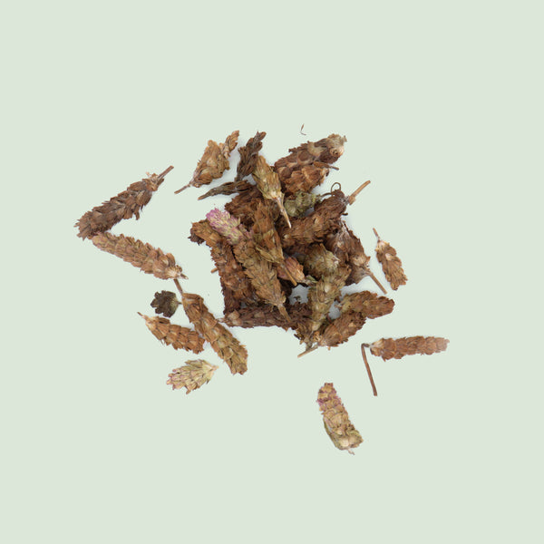 Prunellae Spicae (Xia Ku Cao/Braunellenähren)