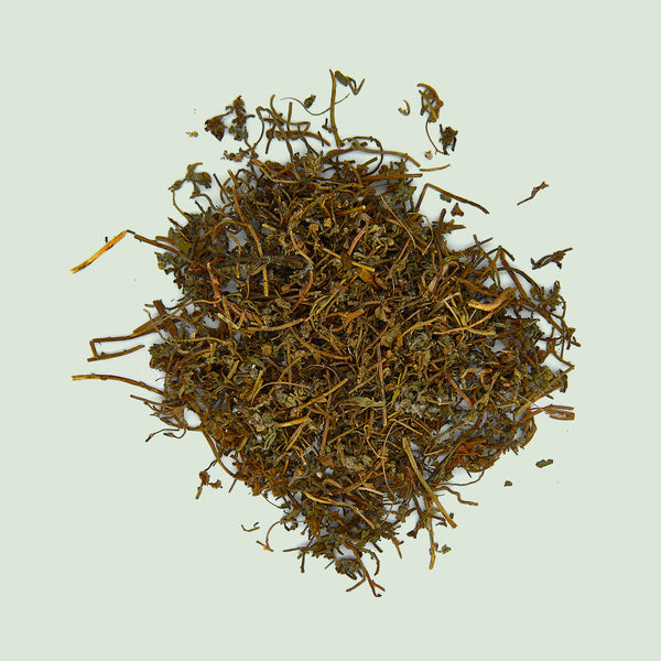 Centipedae Herba (E Bu Shi Cao/Centipedenkraut)