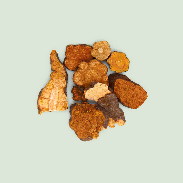 Polygoni multiflori Radix (He Shou Wu/Knöterichwurzel, vielblütiger)
