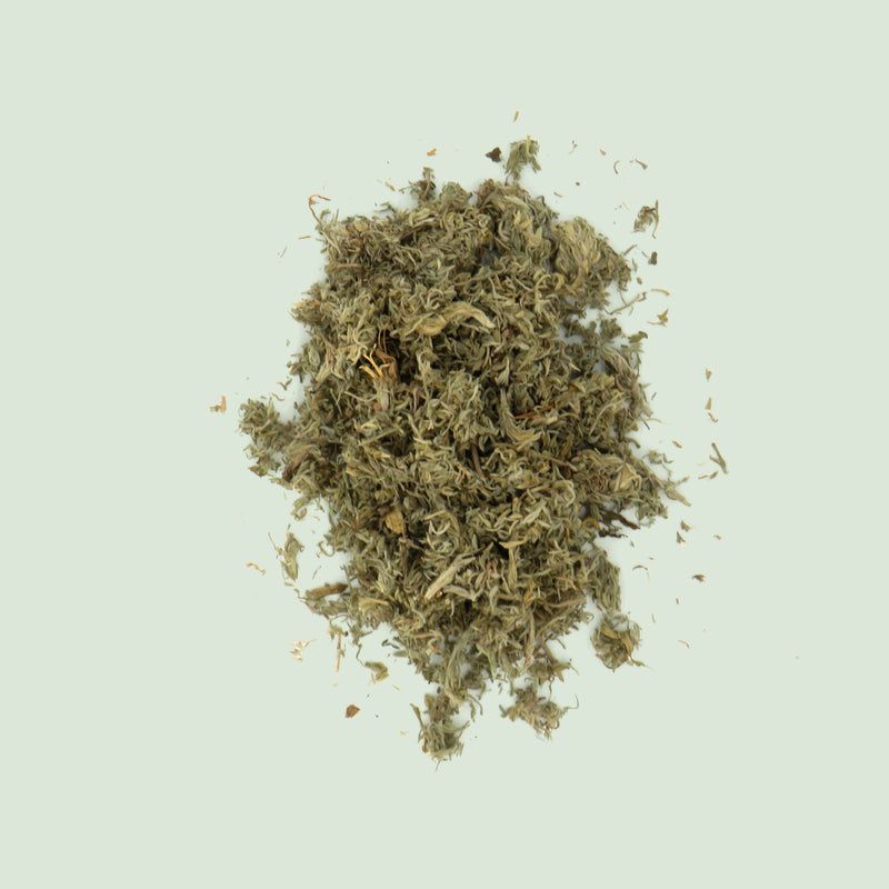 Artemisiae scop. (capillaris) Herba (Yin Chen Hao / Besenbeifußkraut)