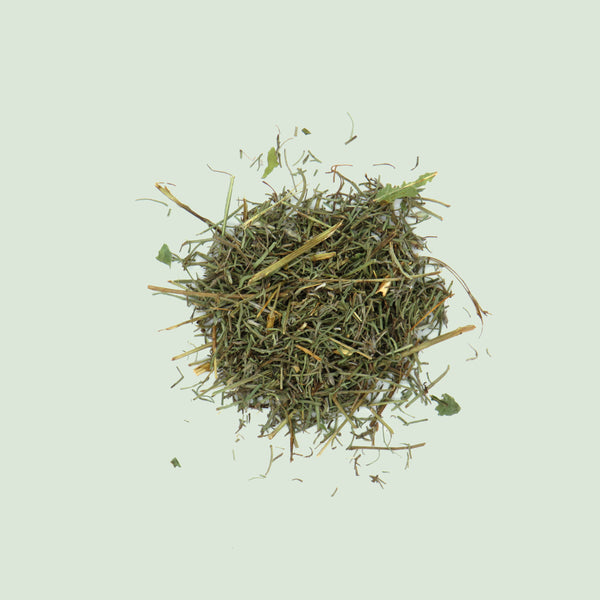 Artemisiae abrotani Herba (Eberraute)