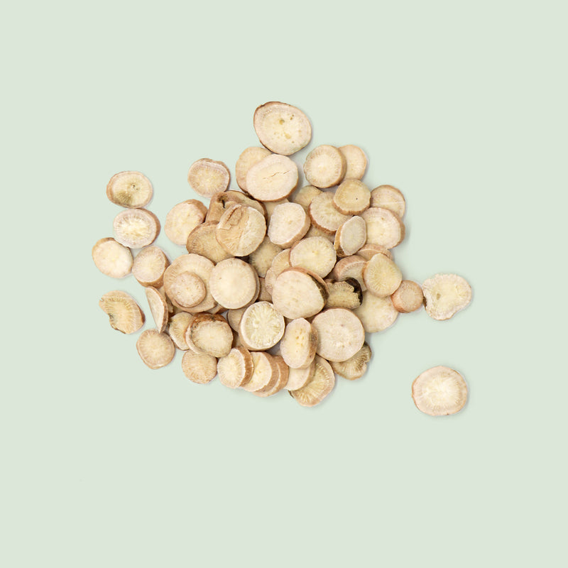 Paeoniae albae Radix (Bai Shao Yao / Pfingstrosenwurzel)