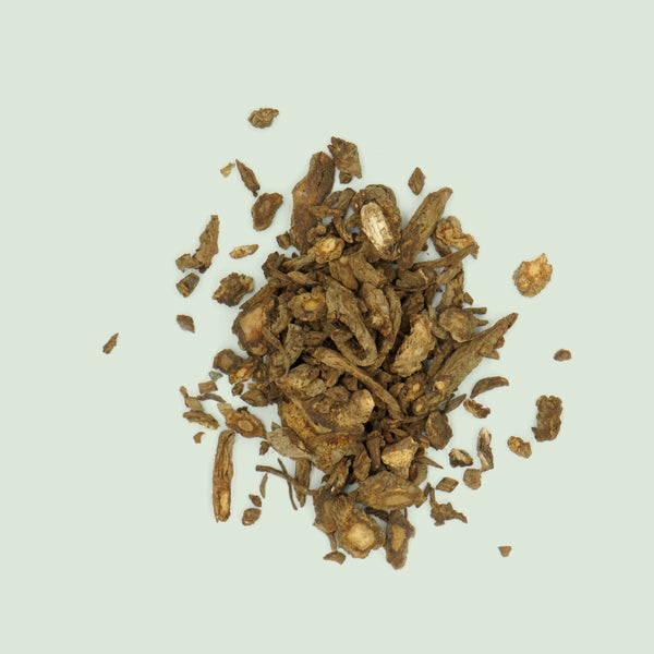 Angelicae pubescentis Radix (Du Huo / Engelwurzwurzel (pubescens))