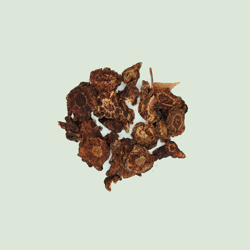 Notopterygii Rhizoma (Qiang Huo/Gebirgsangelikawurzelstock)