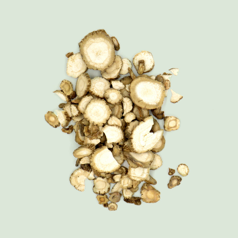 Angelicae dahuricae Radix (Bai Zhi / Engelwurzwurzel (dahurica))
