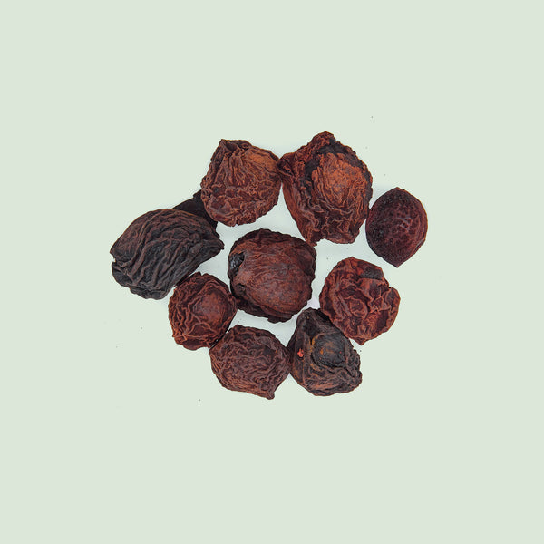 Mume Fructus (Wu Mei/Japanaprikosenfrüchte)