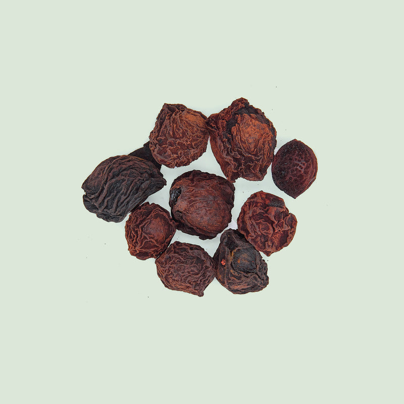 Mume Fructus (Wu Mei/Japanaprikosenfrüchte)