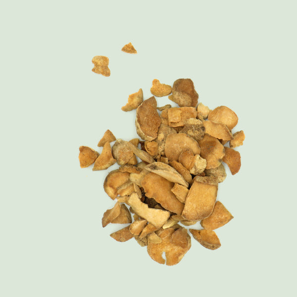 Alismatis Rhizoma (Ze Xie / Orient - Froschlöffelwurzelstock)