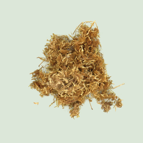 Albiziae Flos (He Huan Hua / Seidenakazienblüten)