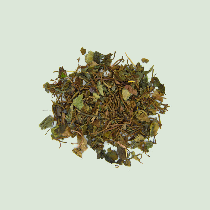 Lysmachiae Herba (Jin Qian Cao/Gilbweiderich)