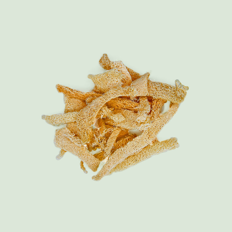 Luffae retinervus Fructus (Si Gua Luo/Luffaschwamm)