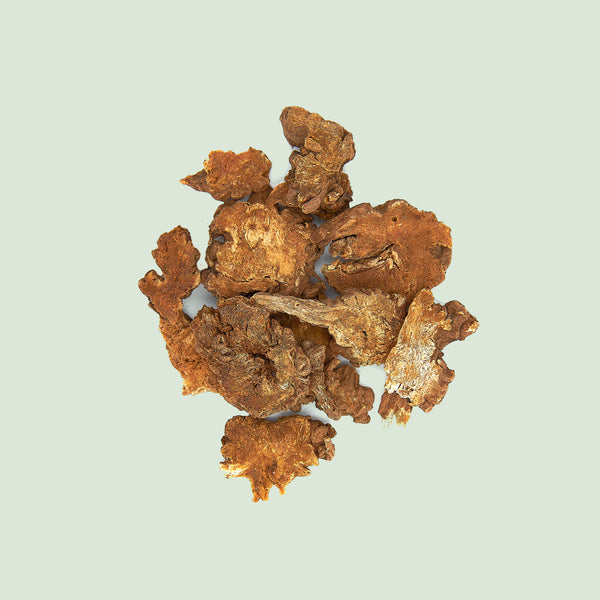Ligustici Rhizoma (Gao Ben/Liebstöckelwurzelstock, chin.)
