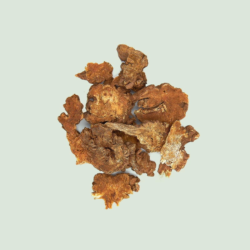Ligustici Rhizoma (Gao Ben/Liebstöckelwurzelstock, chin.)