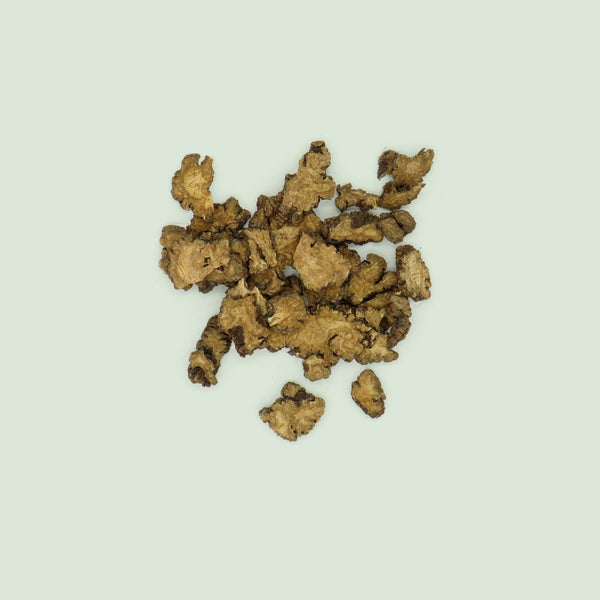 Ligustici Chuanxiong Rhizoma (Chuan Xiong / Szechuanliebstöckelwurzelstock)