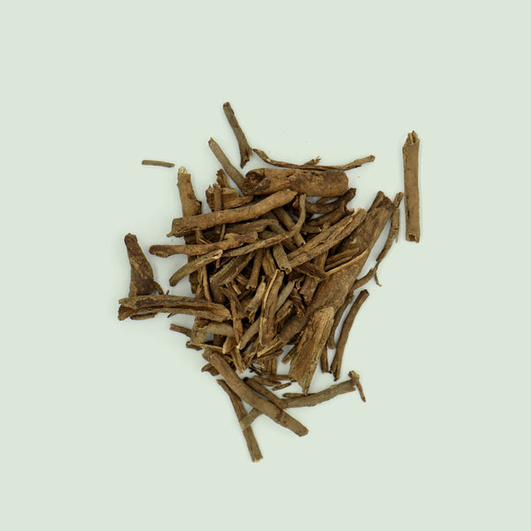 Acanthopanacis Cortex (Wu Jia Pi / Sibirischer Ginseng)